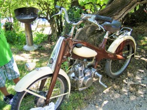 moton 1957,puygiron, drome (1)