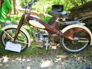 moton 1957,puygiron, drome (3)